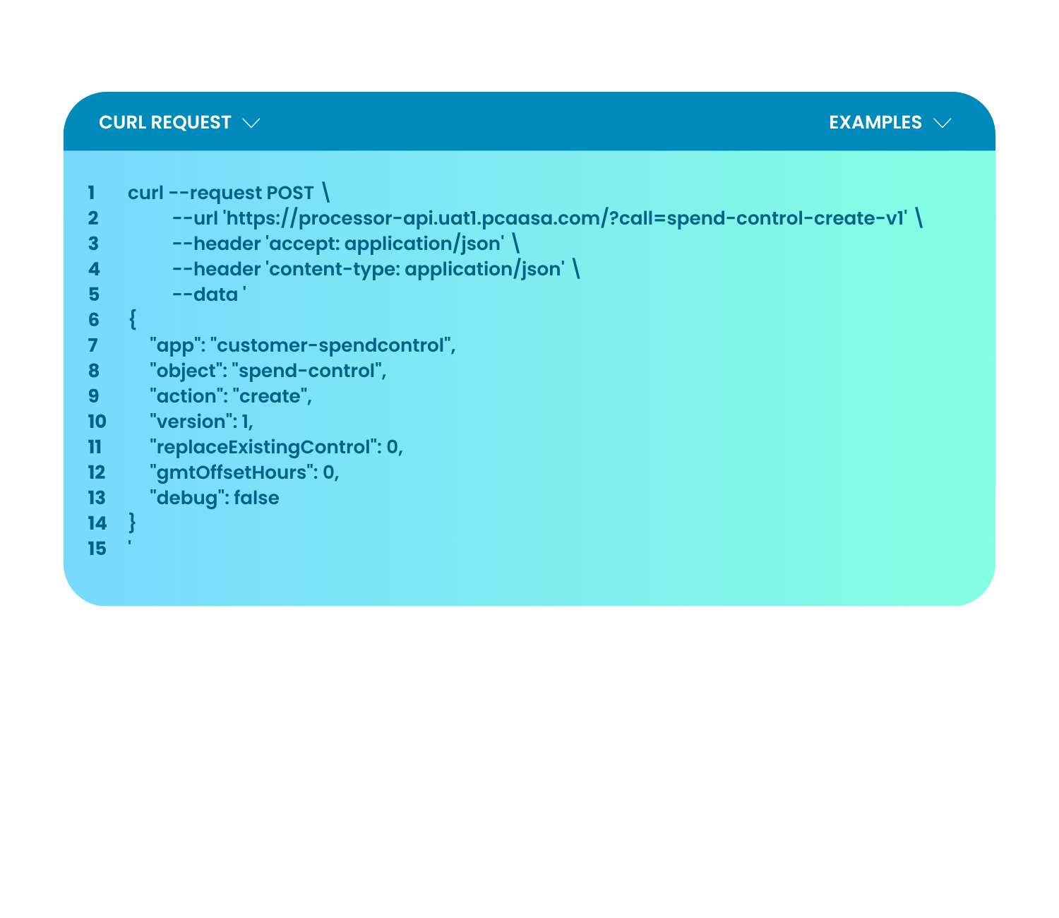 credit card issuing apis example